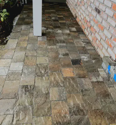 Our Work